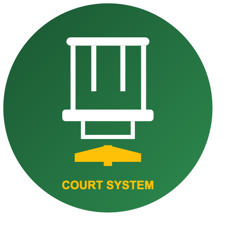 Court System