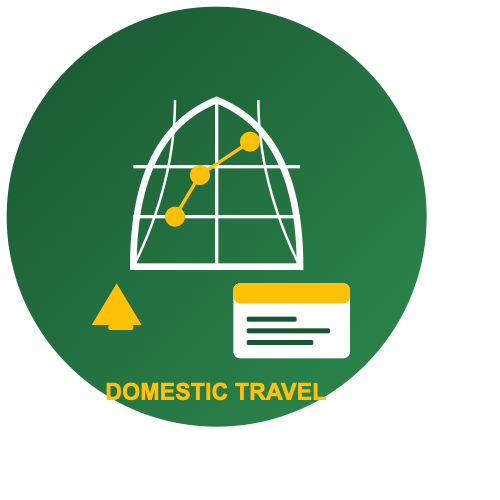 Domestic Travel